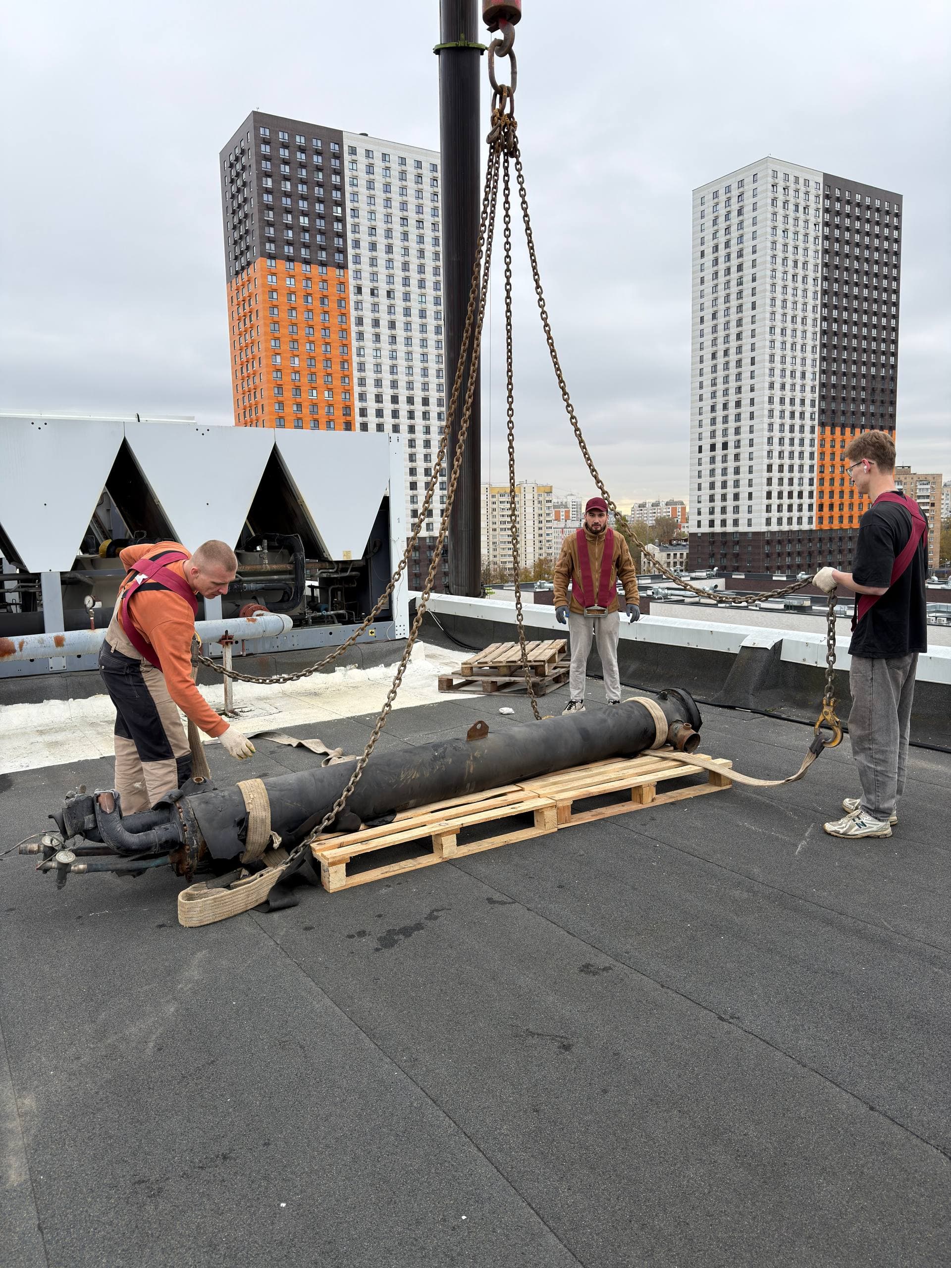 ИП Бешлиу Н. И., работа 7